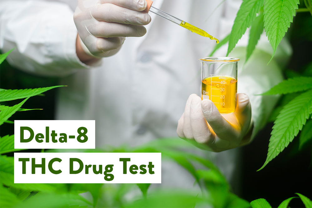 Delta-8 THC Drug Test: How Long Does Delta 8 Stay In Your System? - BudPop