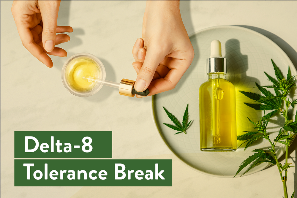 Delta 8 Tolerance Break: Know How To Reset Your Body - BudPop