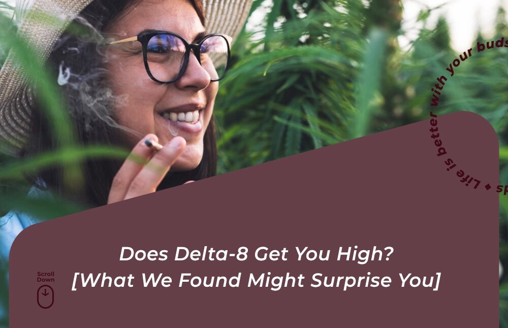 does delta 8 get you high