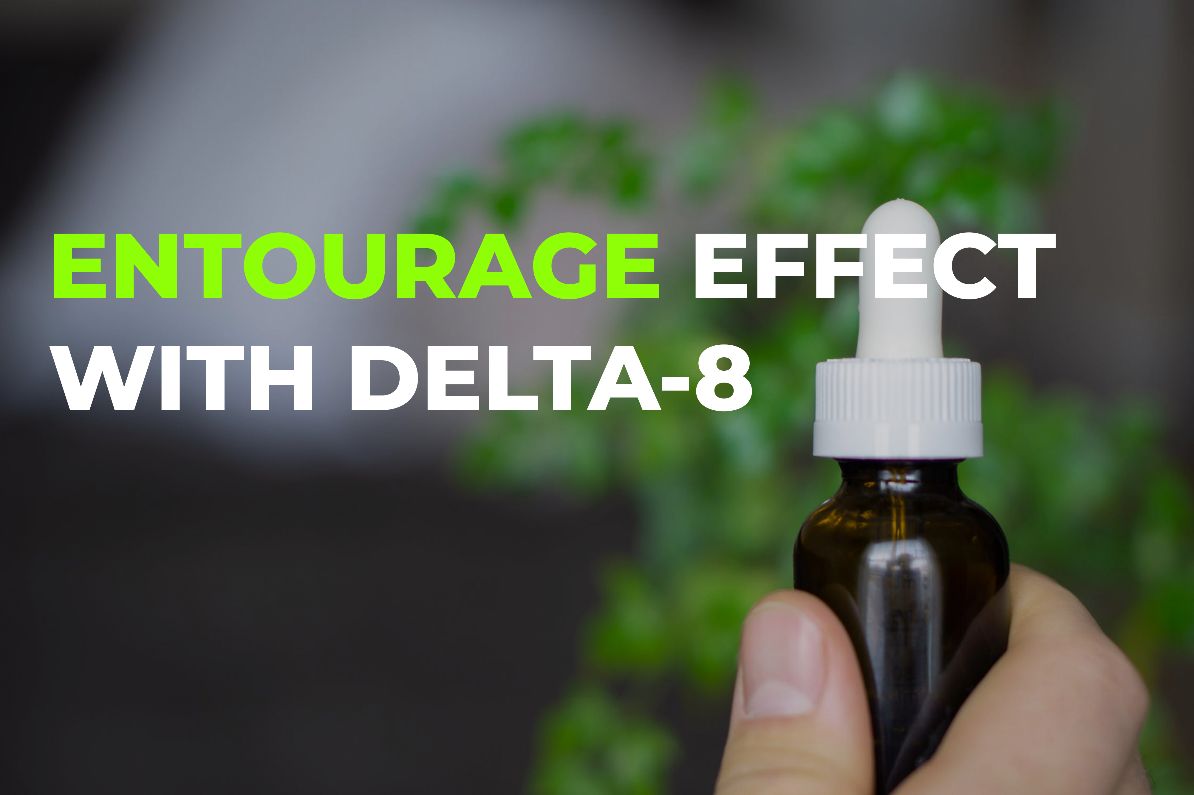 What Is Entourage Effect? Does Delta 8 Help In Achieving It? - BudPop