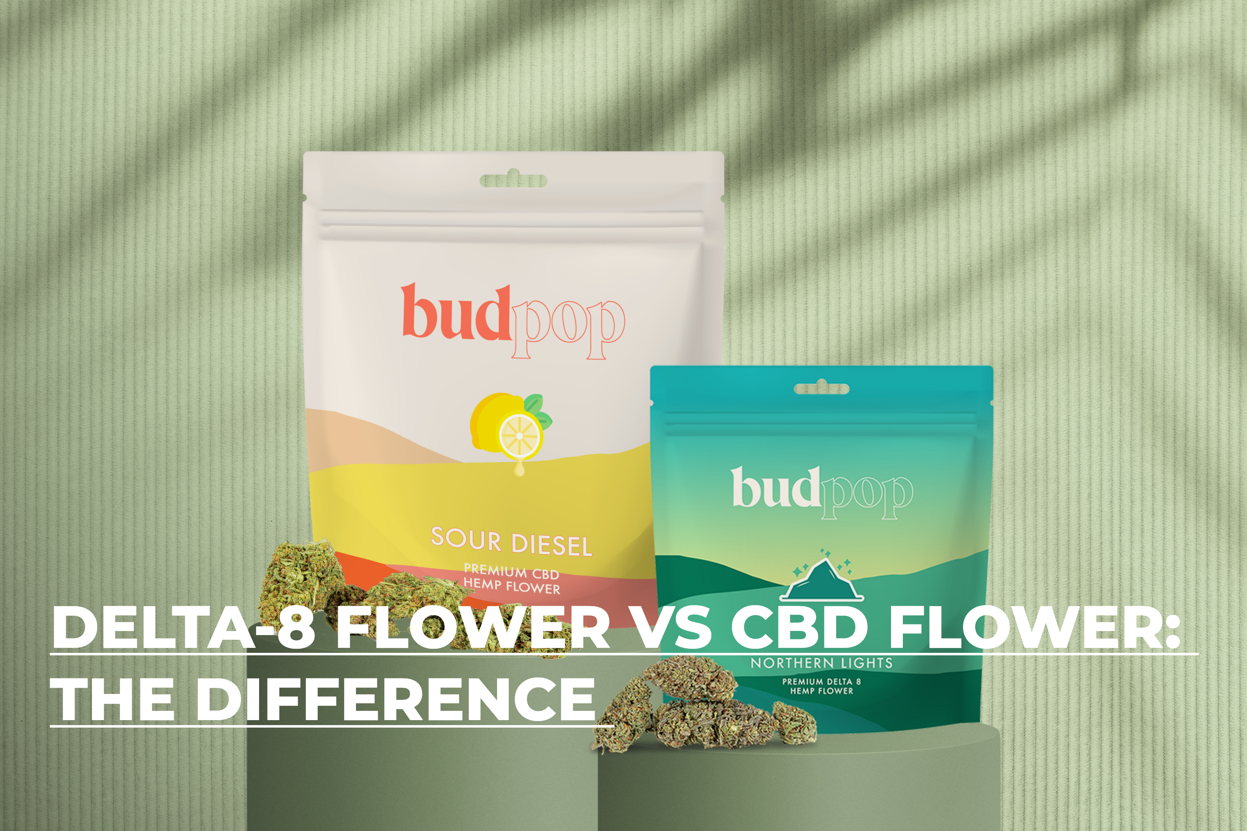 Delta 8 Flower VS CBD Flower: Know The Difference - BudPop