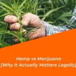 hemp vs marijuana