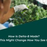 how is delta 8 made