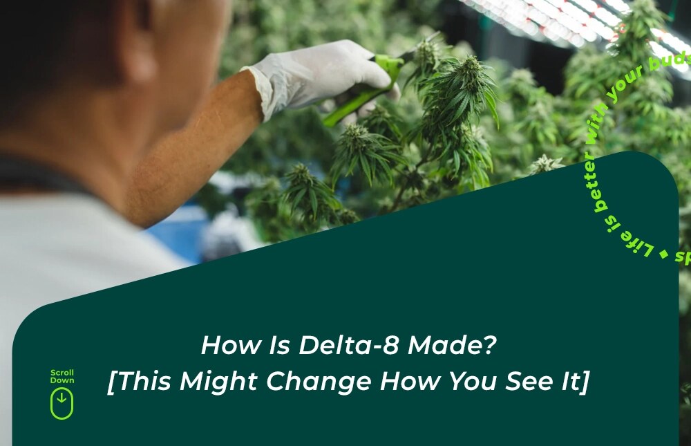 how is delta 8 made