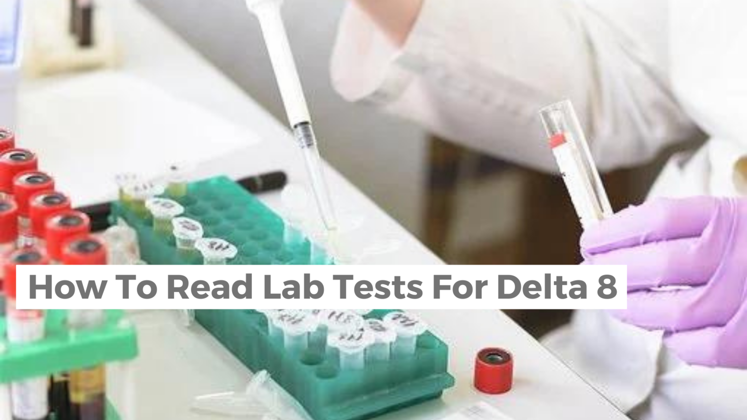Deciphering Delta8 Lab Results A Guide Budpop