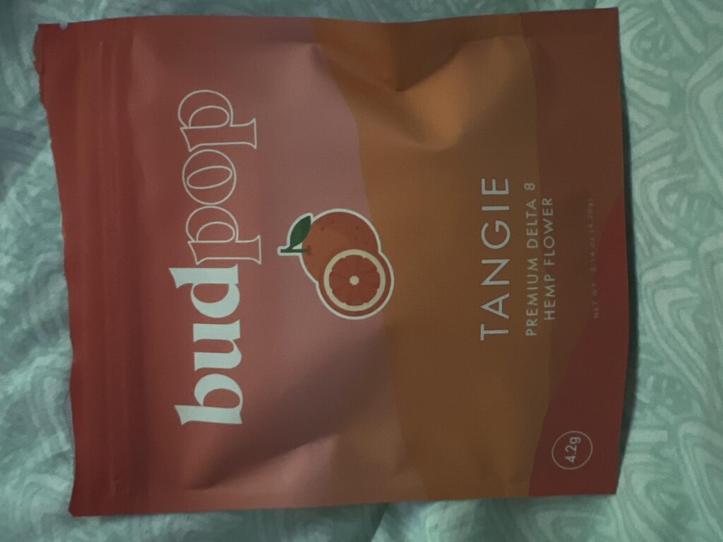 Image #1 from brylie