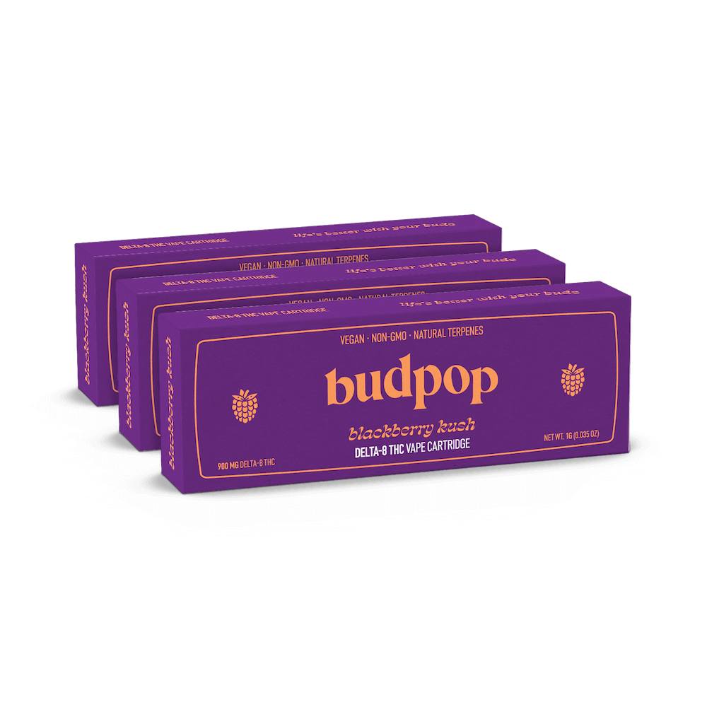 Blackberry Kush Delta 8 THC Vape – 1g / 3-Pack