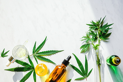 5 Reasons To Add CBD To Your Skincare | BudPop