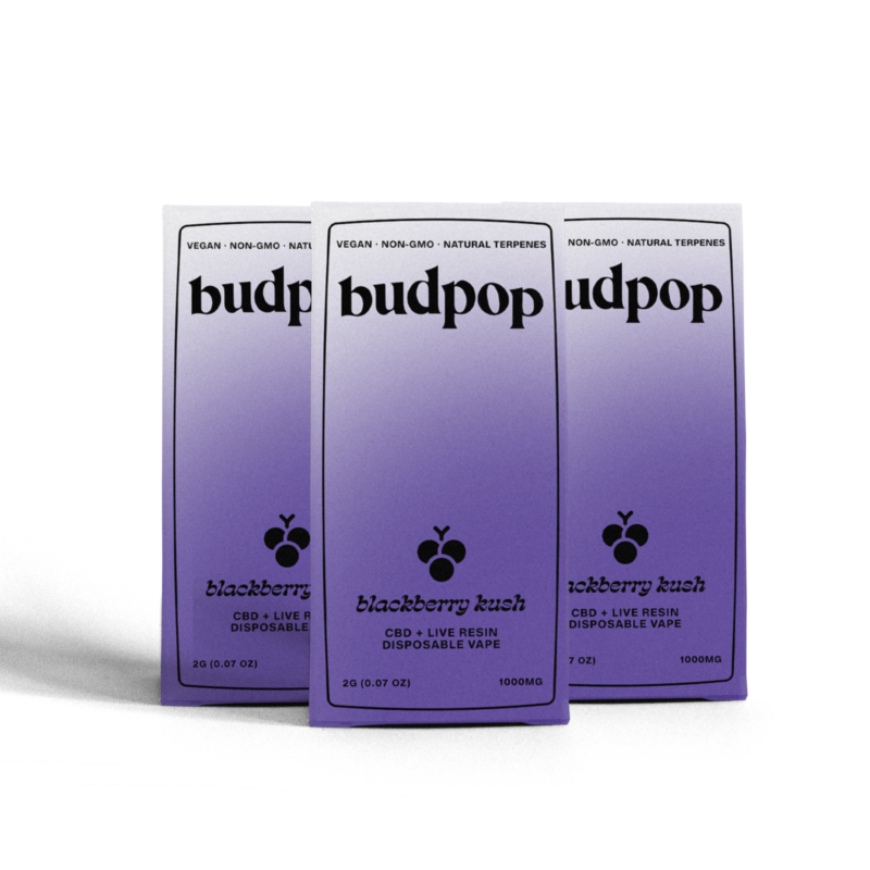 CBD Broad Spectrum + Live Resin 2G Disposables (1000 mg) - Blackberry Kush - BudPop