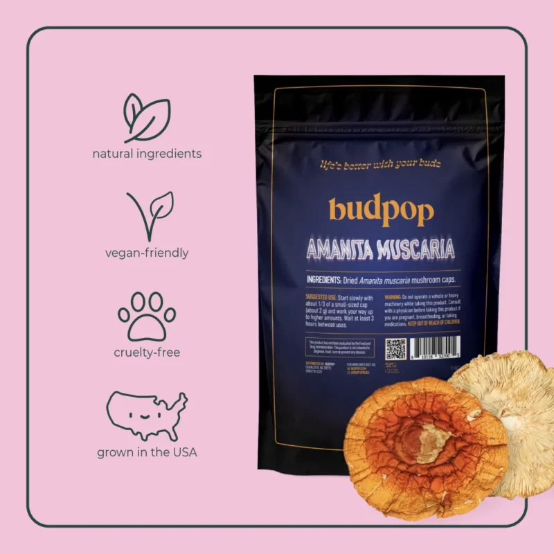 Amanita Muscaria Dried Mushrooms - BudPop