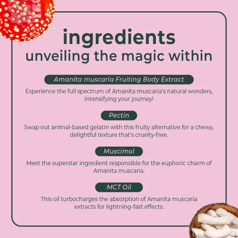 500 mg Edible - Sweet Magic Amanita Muscaria Gummy Cube - Image 9