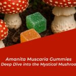 amanita muscaria gummies a deep dive into the mystical mushroom