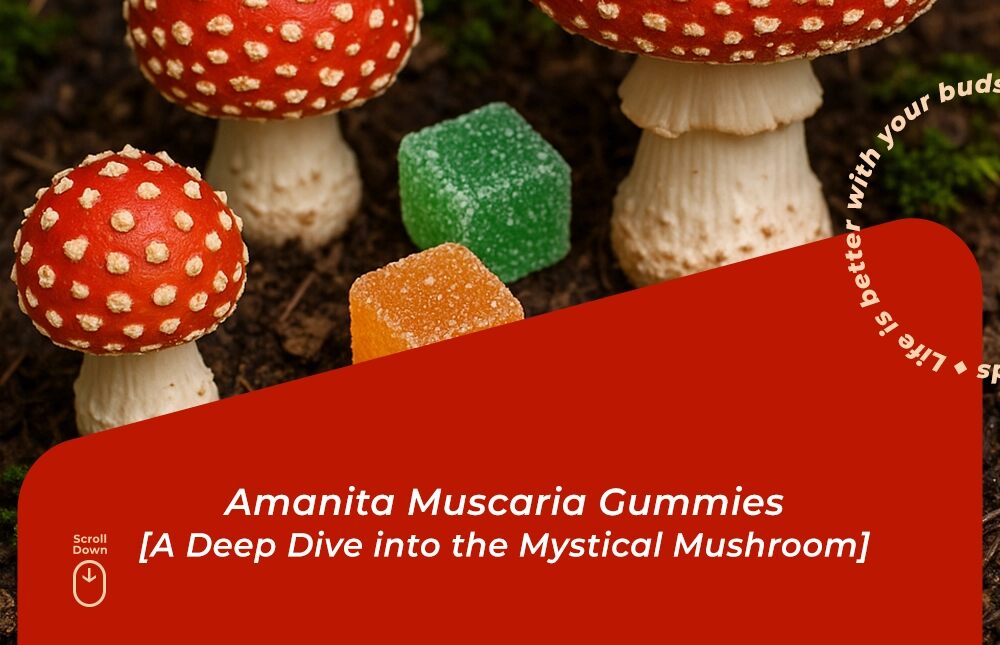 amanita muscaria gummies a deep dive into the mystical mushroom