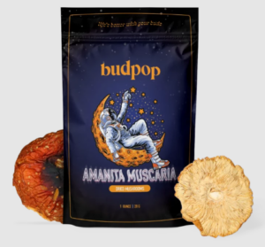 Discover the Future of Cannabis with BudPop's Cutting-Edge D9, HHC, Amanita, and THCp Products! - BudPop
