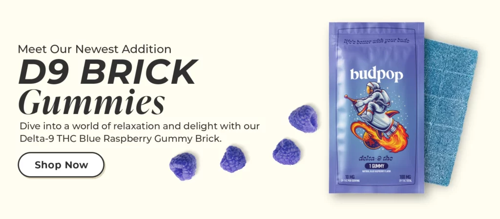 D9 brick gummies