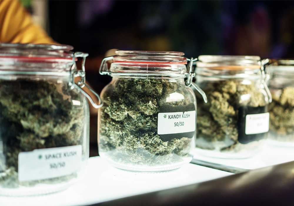 cannabis strains for sale