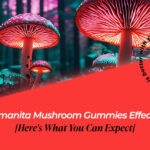 amanita mushroom gummies effects