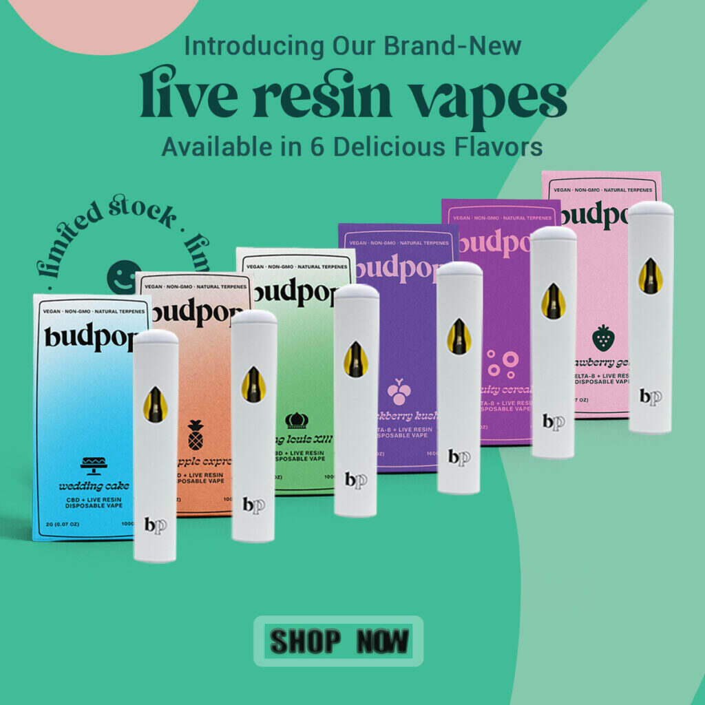 bupop live resin disposable vapes shop now blog cta new