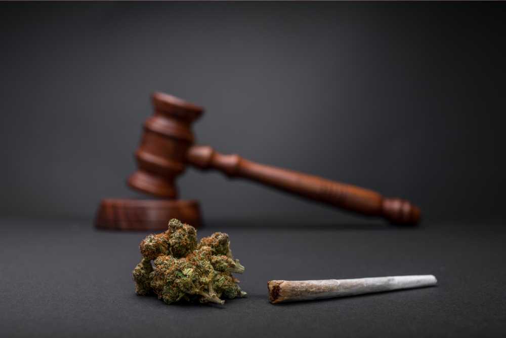 cannabis flower joint and gavel