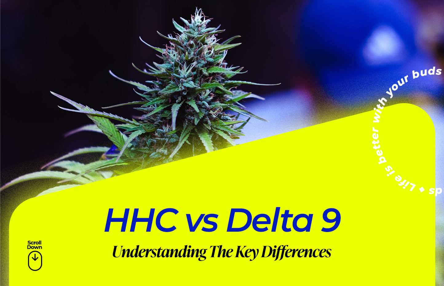 hhc-vs-delta-9-key-differences