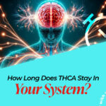 how long does thca stay in your system