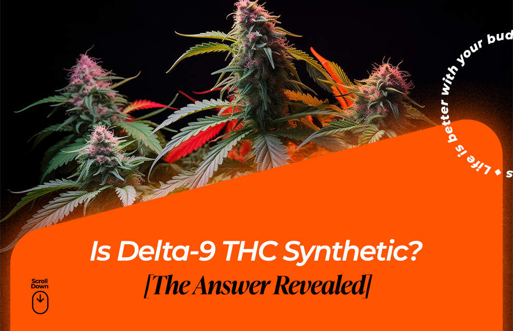 is delta 9 thc synthetic