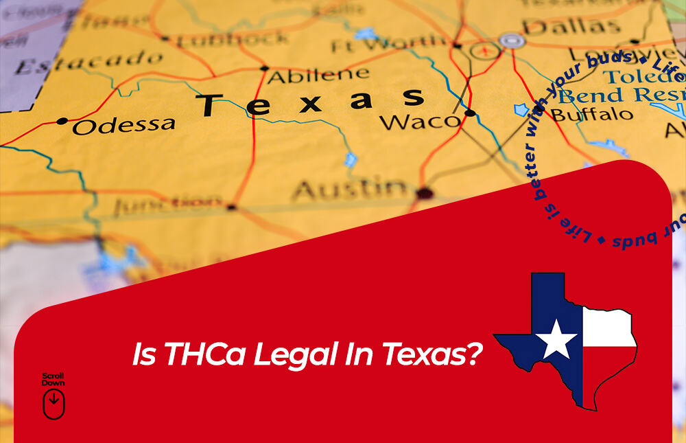 is thca legal in texas