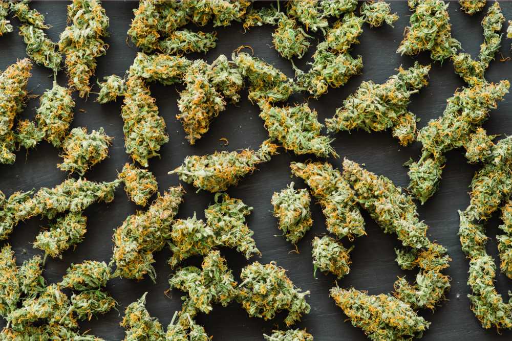 numerous cannabis nugs scattered overhead shot