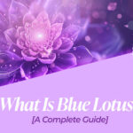what is blue lotus