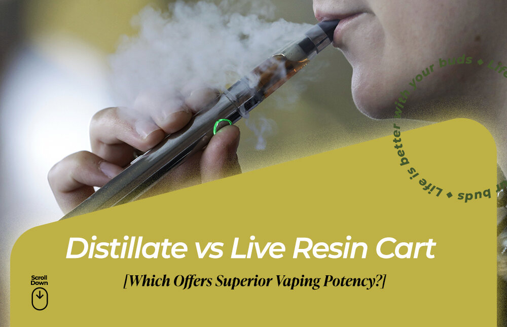 distillate vs live resin cart