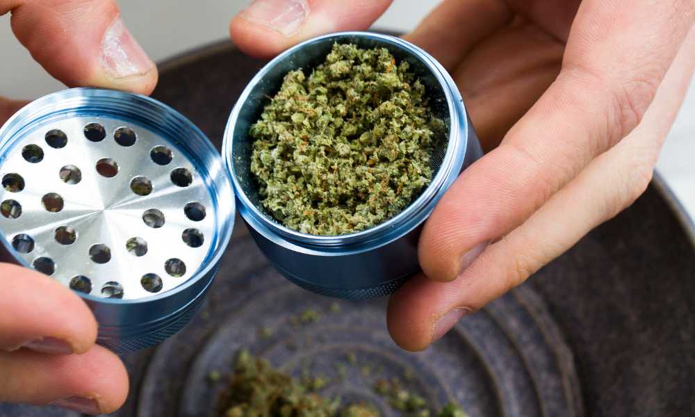 hands holding cannabis grinder with ground flower