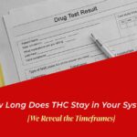 how long does thc stay in system