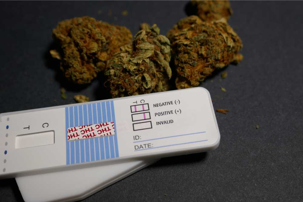 three cannabis buds next to drug test