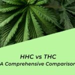 hhc vs thc