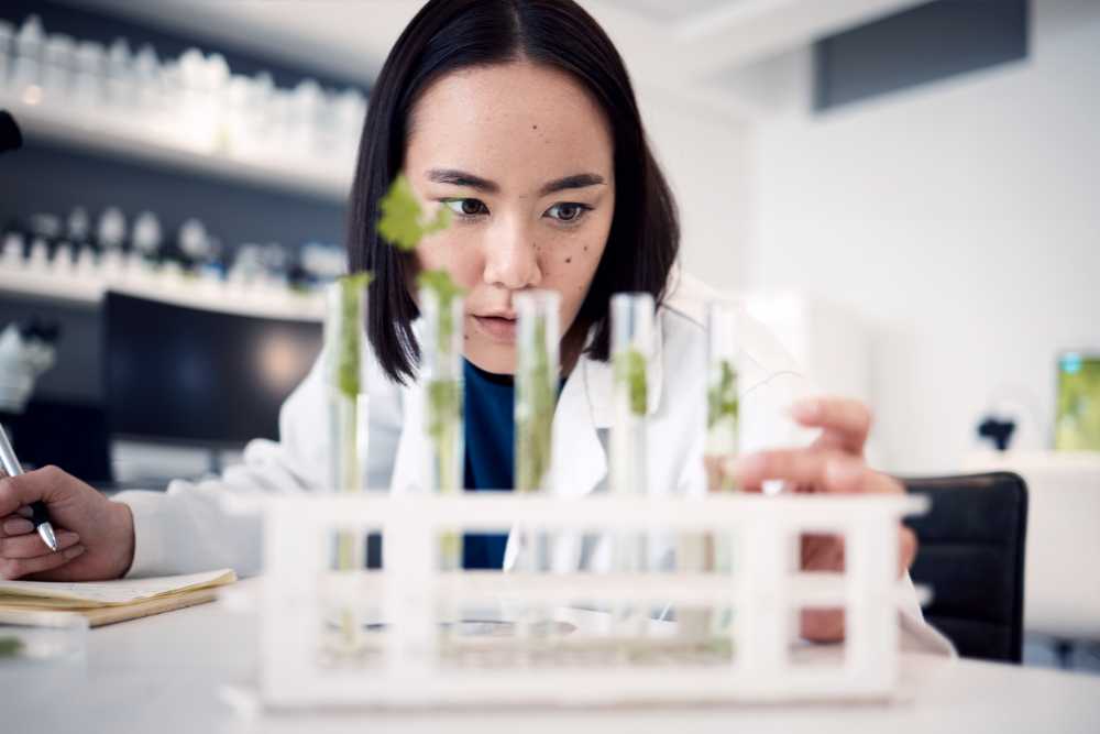 scientist examining various cannabinoids