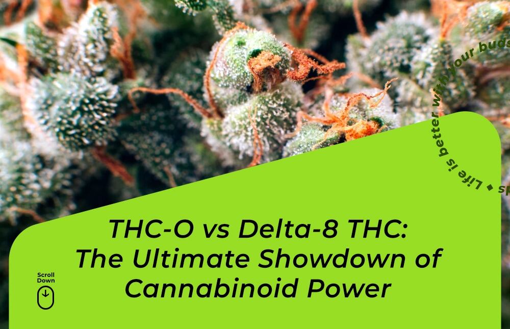 thc-o vs delta 8