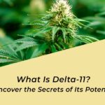 what is delta 11