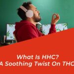 what is hhc