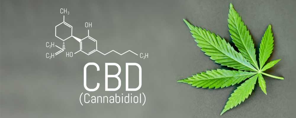 cbd chemical structure with hemp leaf gray background