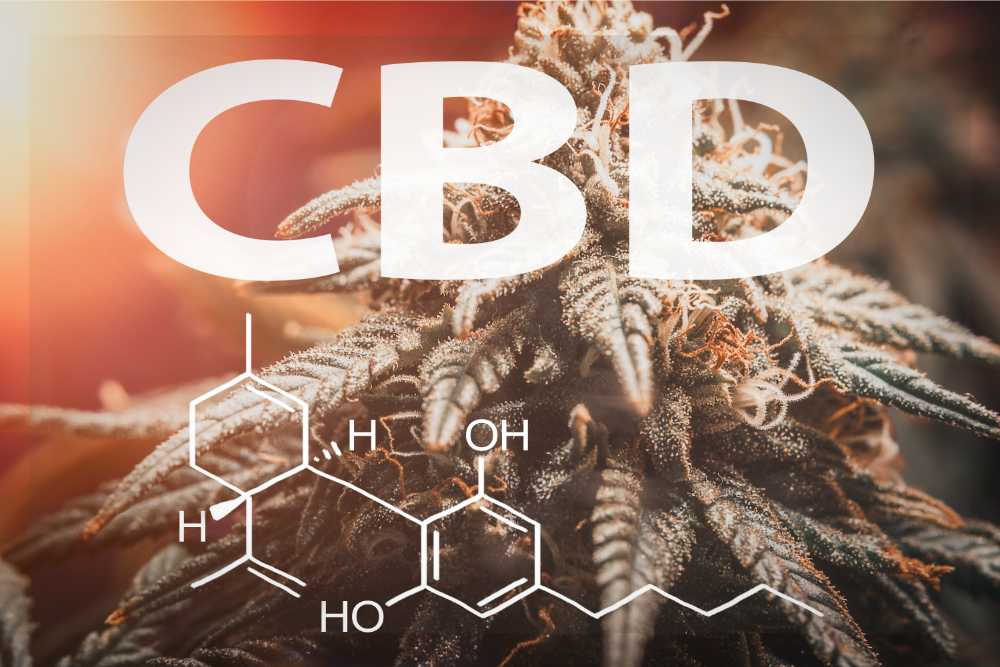 cbd chemical structure with large bud in background