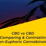 CBG vs CBD [8 Main Differences Revealed!] | BudPop