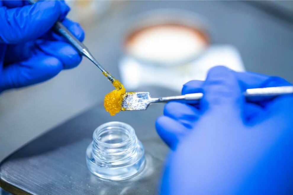 Live Resin Vs Cured Resin [Discover 6 Main Differences]