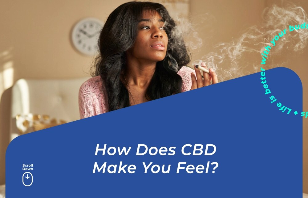 how does cbd make you feel