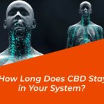 how long does cbd stay in your system