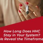 how long does hhc stay in system