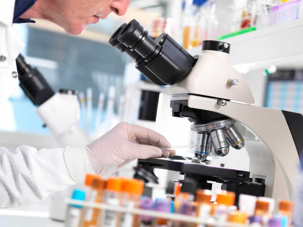 scientist using microscope examining slides