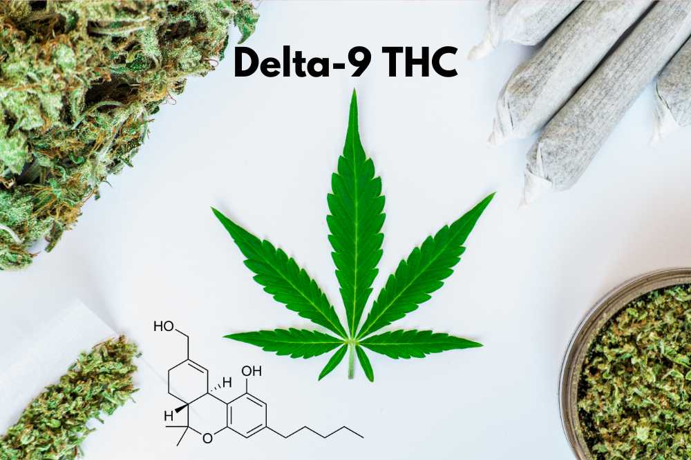 delta-9-thc