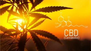 THCV vs CBD: key differences, benefits, and which one is right for you cbd chemical structure sunset hemp leaves