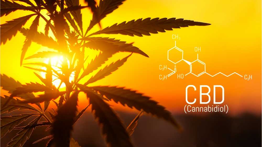 cbd chemical structure sunset hemp leaves