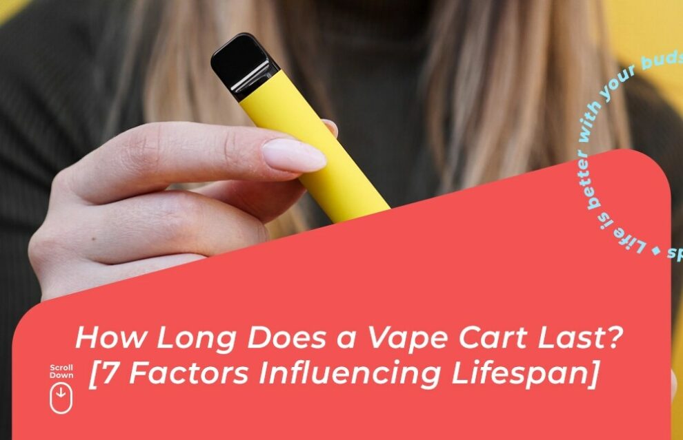 How Long Does A Cart Last? [7 Important Factors Revealed!] BudPop